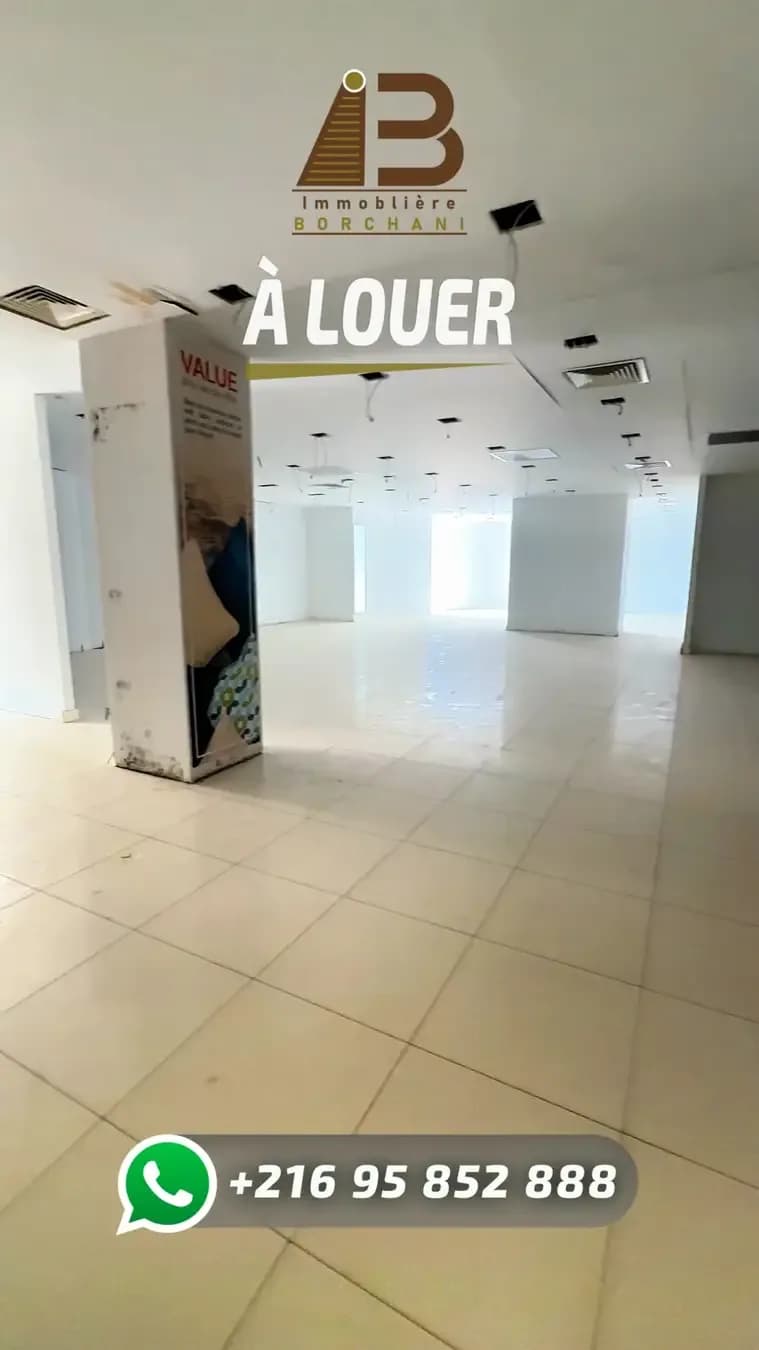 Still from a vertical “À louer” (for rent) video: a large empty floor with tiled flooring, the Borchani logo and a WhatsApp number